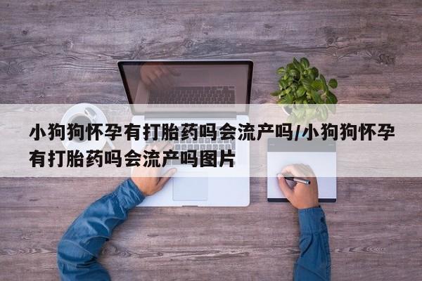 米非米索货到付款小狗狗怀孕有打胎药吗会流产吗/小狗狗怀孕有打胎药吗会流产吗图片