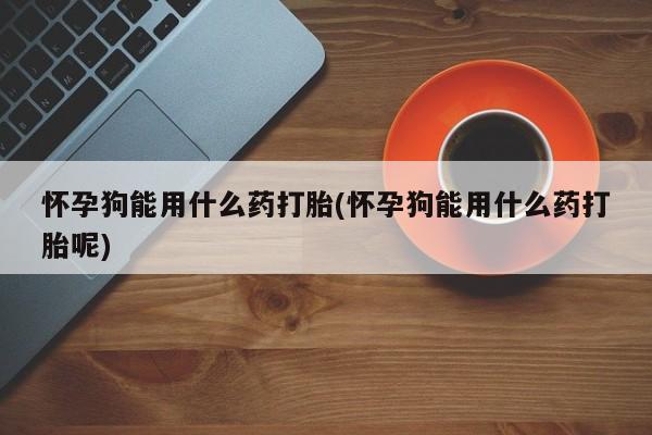 米非米索货到付款怀孕狗能用什么药打胎(怀孕狗能用什么药打胎呢)